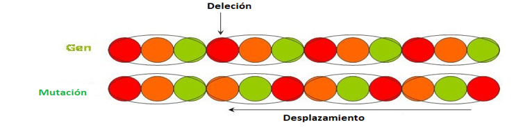 Diagrama que muestra el gen por un lado y el gen mutado por desplazamiento en el otro, explicado mediante colores en los diferentes codones